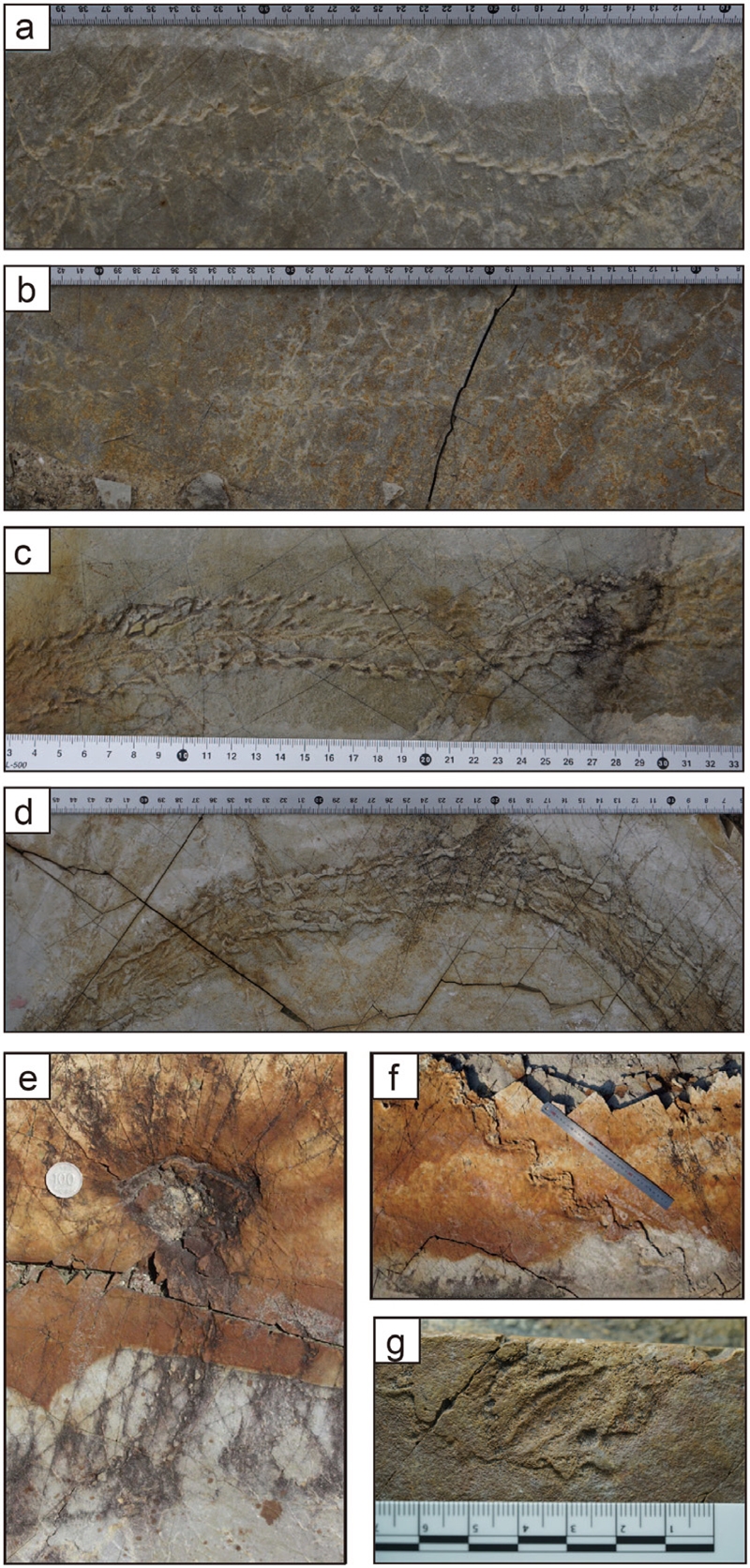 Fig. 3. Fig. 3.