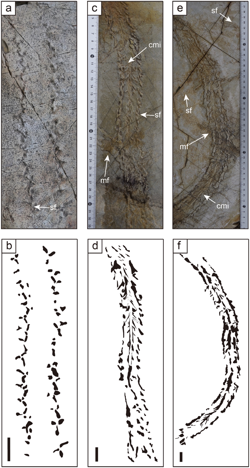 Fig. 5. Fig. 5.
