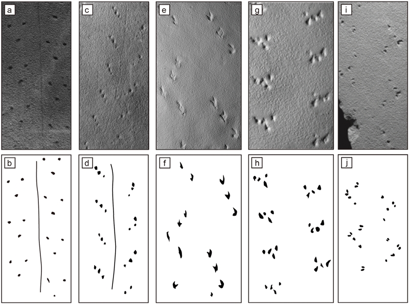 Fig. 8. Fig. 8.