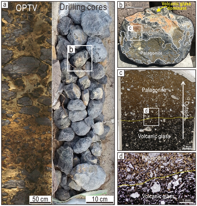Fig. 3. Fig. 3.