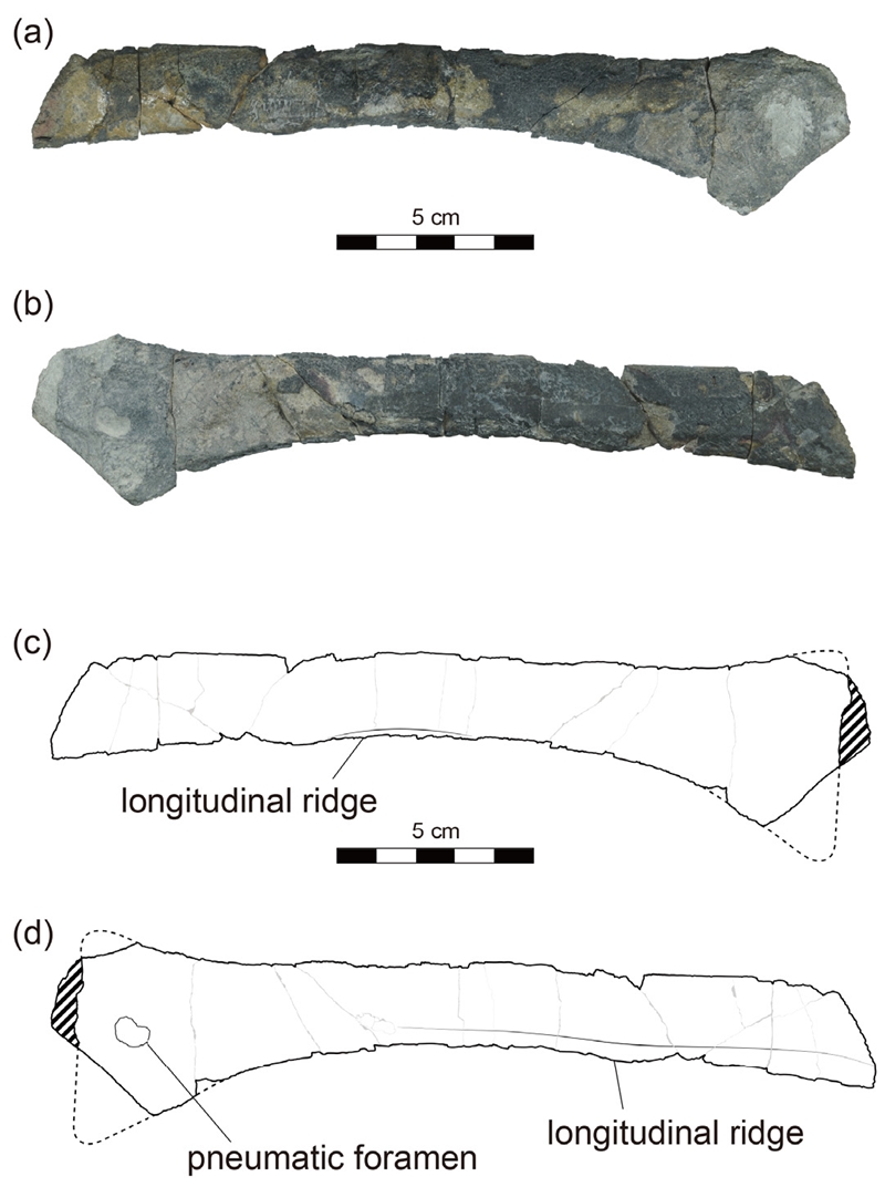 Fig. 2. Fig. 2.