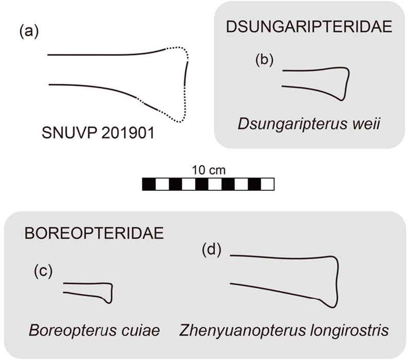 Fig. 4. Fig. 4.