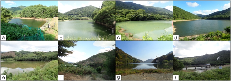 Fig. 6. Fig. 6.