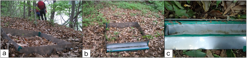 Fig. 12.