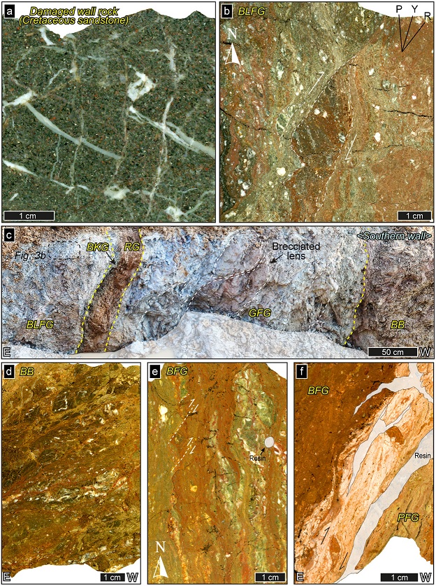 Fig. 3. Fig. 3.