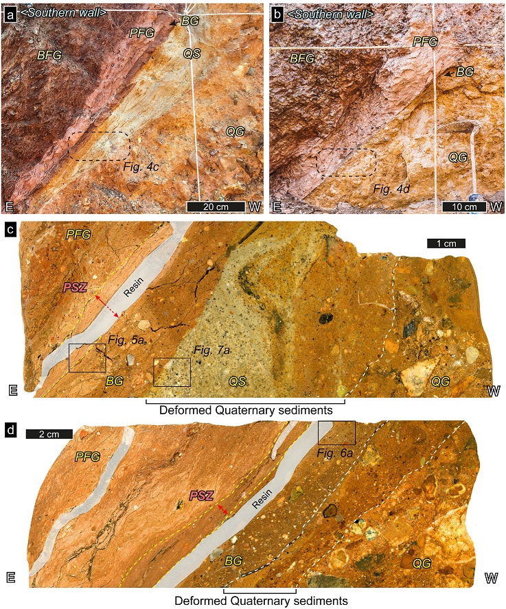 Fig. 4. Fig. 4.