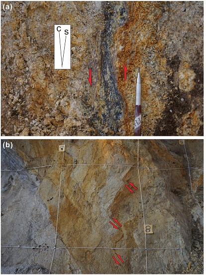 Fig. 10.