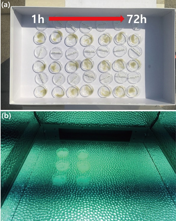 Fig. 2. Fig. 2.