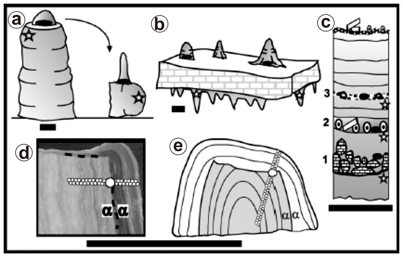 Fig. 2. Fig. 2.