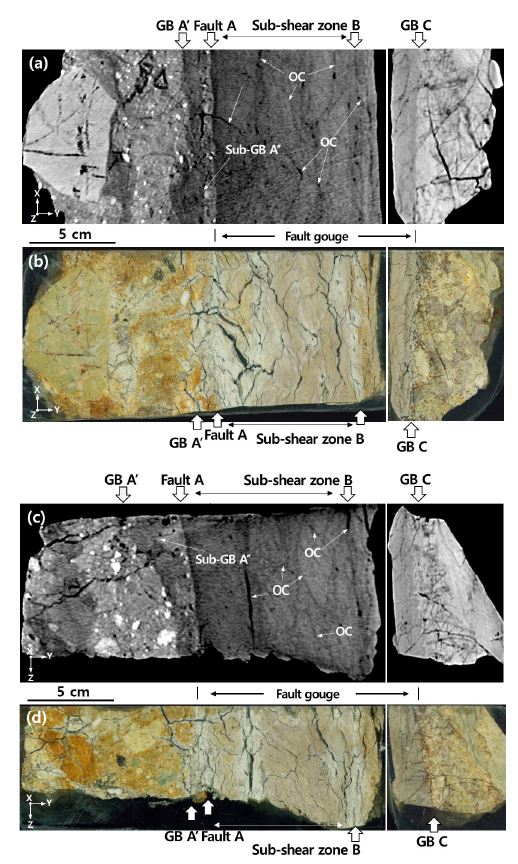 Fig. 5. Fig. 5.