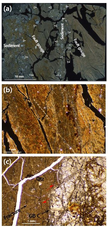 Fig. 6. Fig. 6.