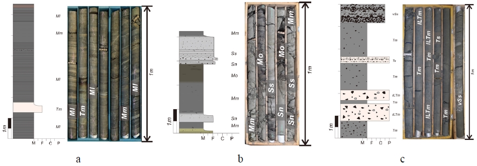 Fig. 5. Fig. 5.