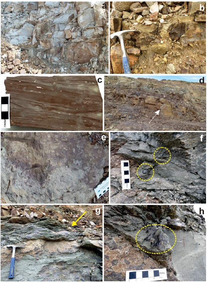 Fig. 4. Fig. 4.
