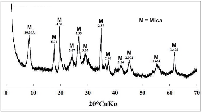 Fig. 7. Fig. 7.