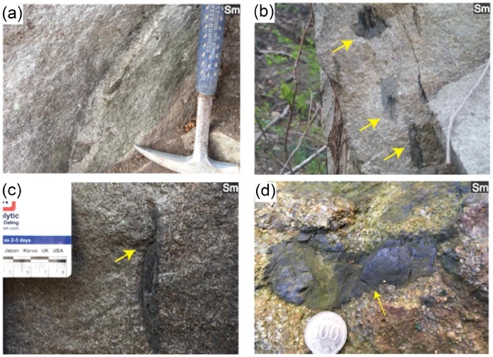 Fig. 4. Fig. 4.