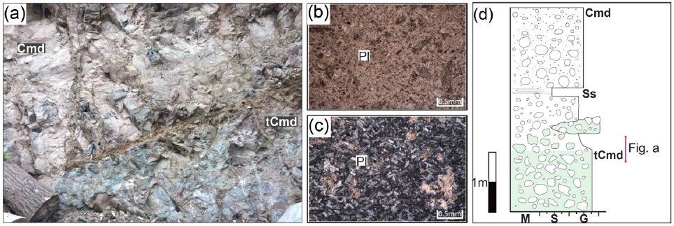 Fig. 9. Fig. 9.