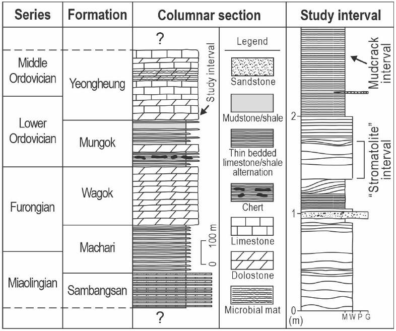 Fig. 2. Fig. 2.