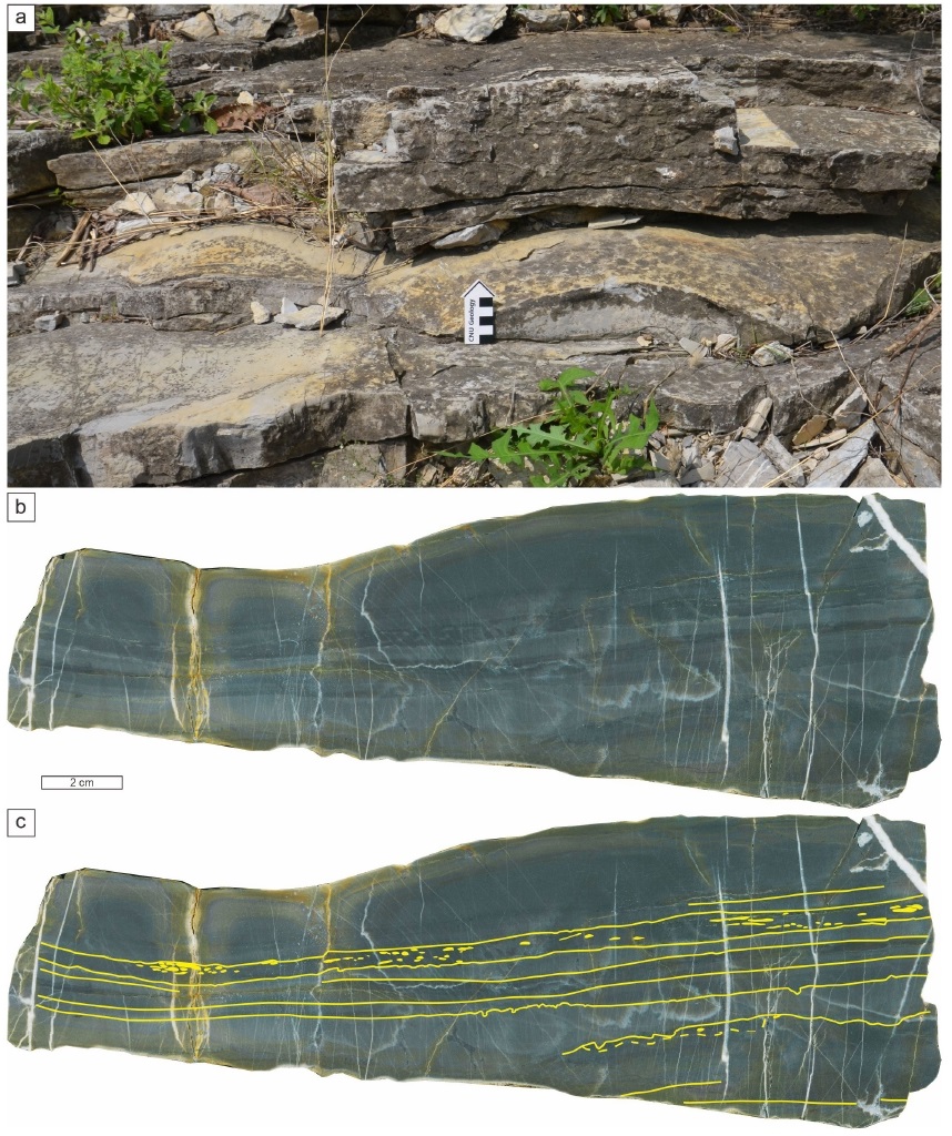 Fig. 4. Fig. 4.