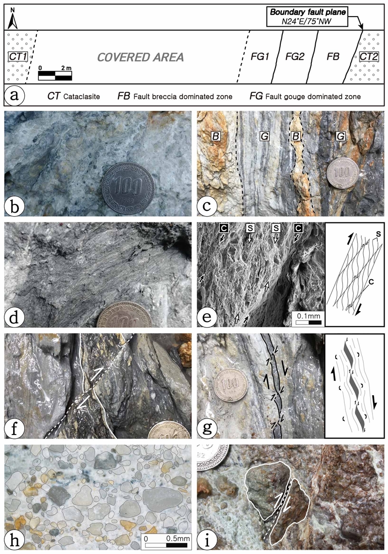Fig. 8.
