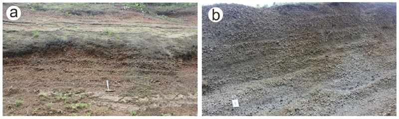 Fig. 2. Fig. 2.