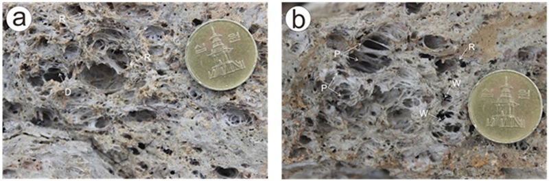 Fig. 8. Fig. 8.
