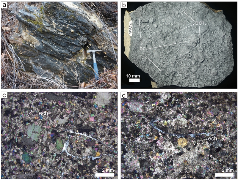 Fig. 2. Fig. 2.
