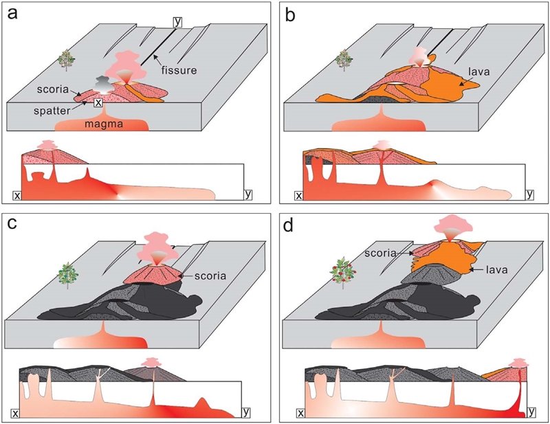 Fig. 12.