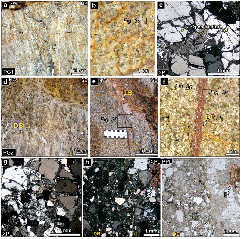Fig. 3. Fig. 3.