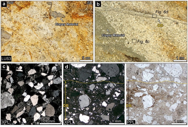 Fig. 6. Fig. 6.