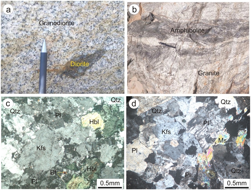 Fig. 2. Fig. 2.