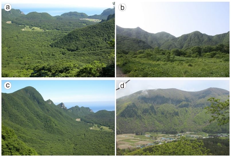 Fig. 4. Fig. 4.