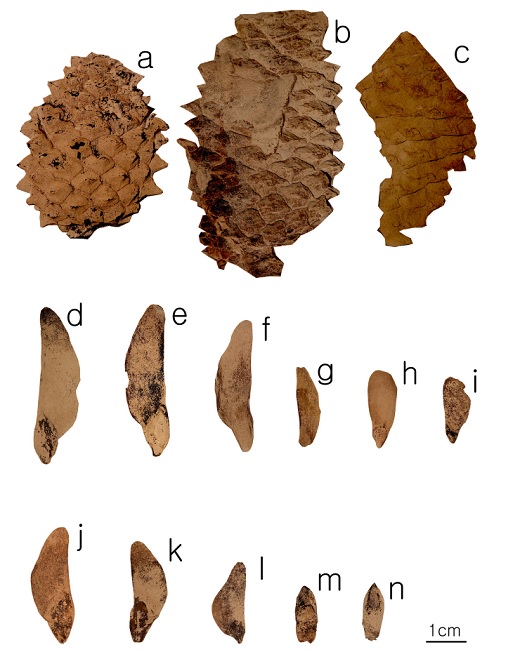 Fig. 2. Fig. 2.