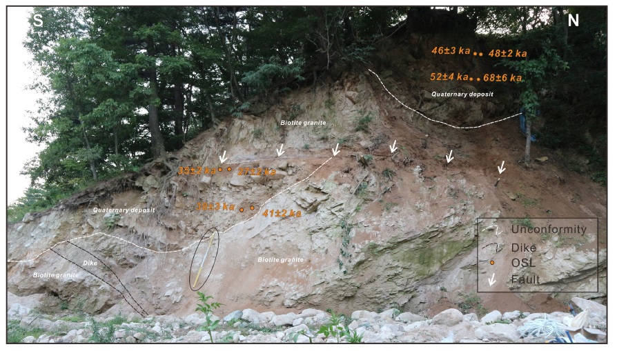 Fig. 2. Fig. 2.