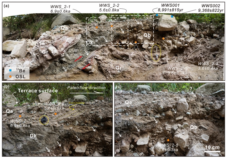 Fig. 3. Fig. 3.
