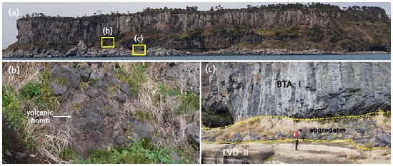 Fig. 7. Fig. 7.
