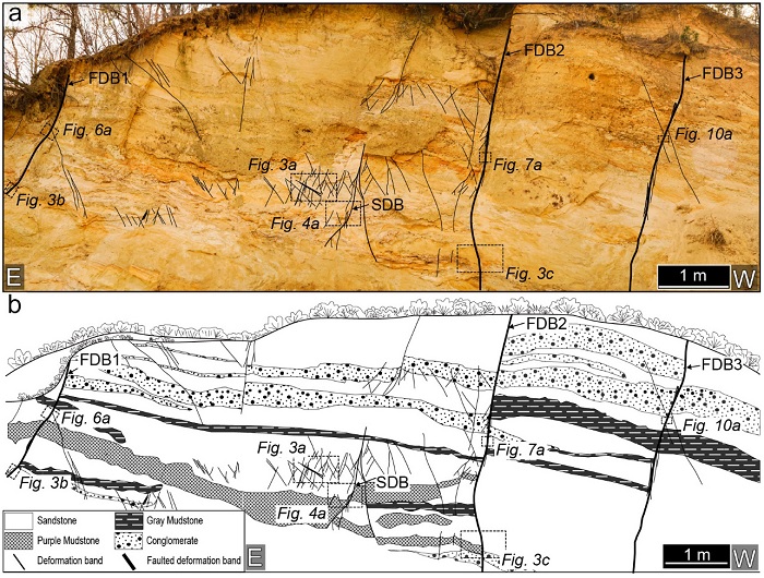 Fig. 2. Fig. 2.