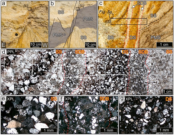 Fig. 4. Fig. 4.