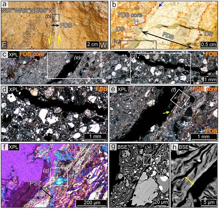 Fig. 6. Fig. 6.