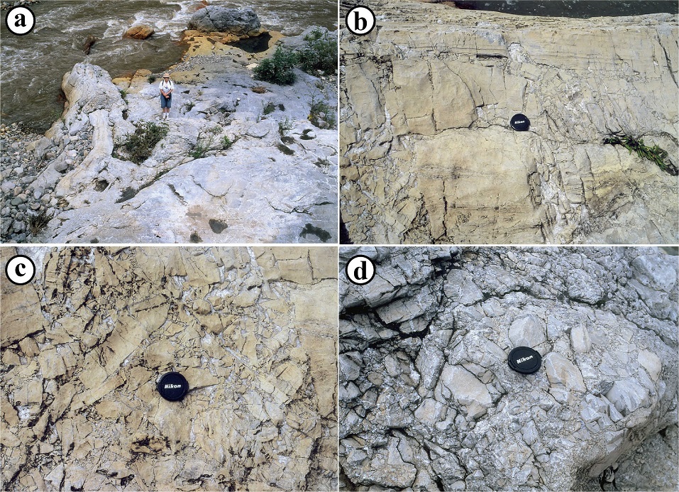 Fig. 7. Fig. 7.
