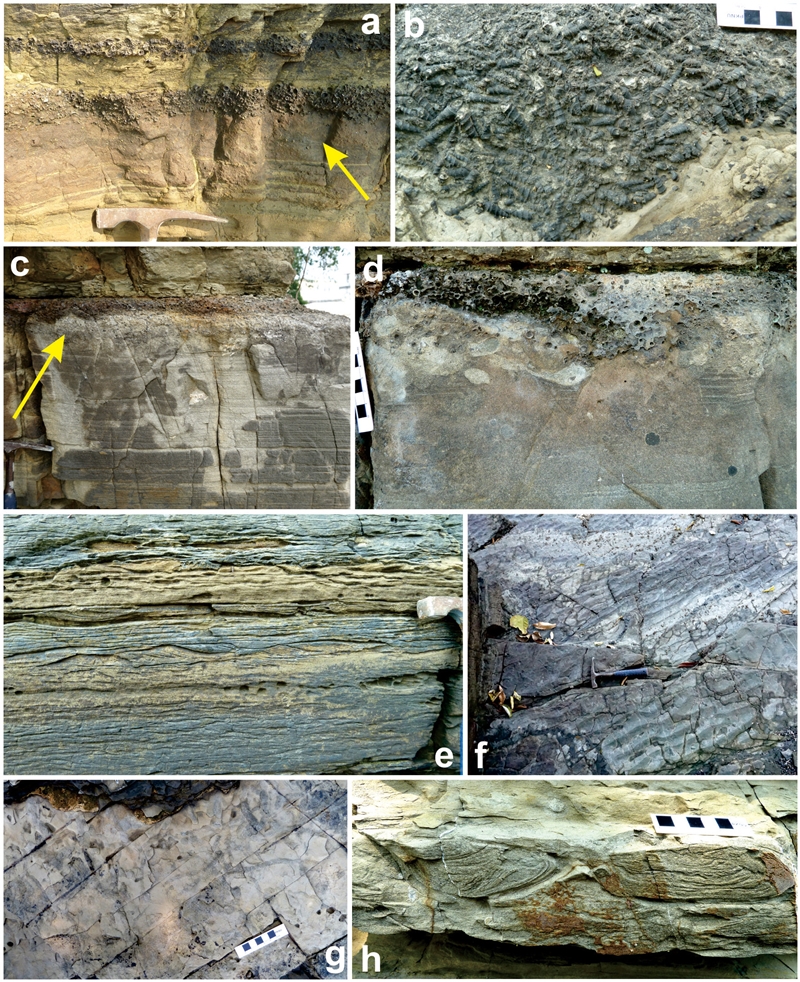 Fig. 2. Fig. 2.