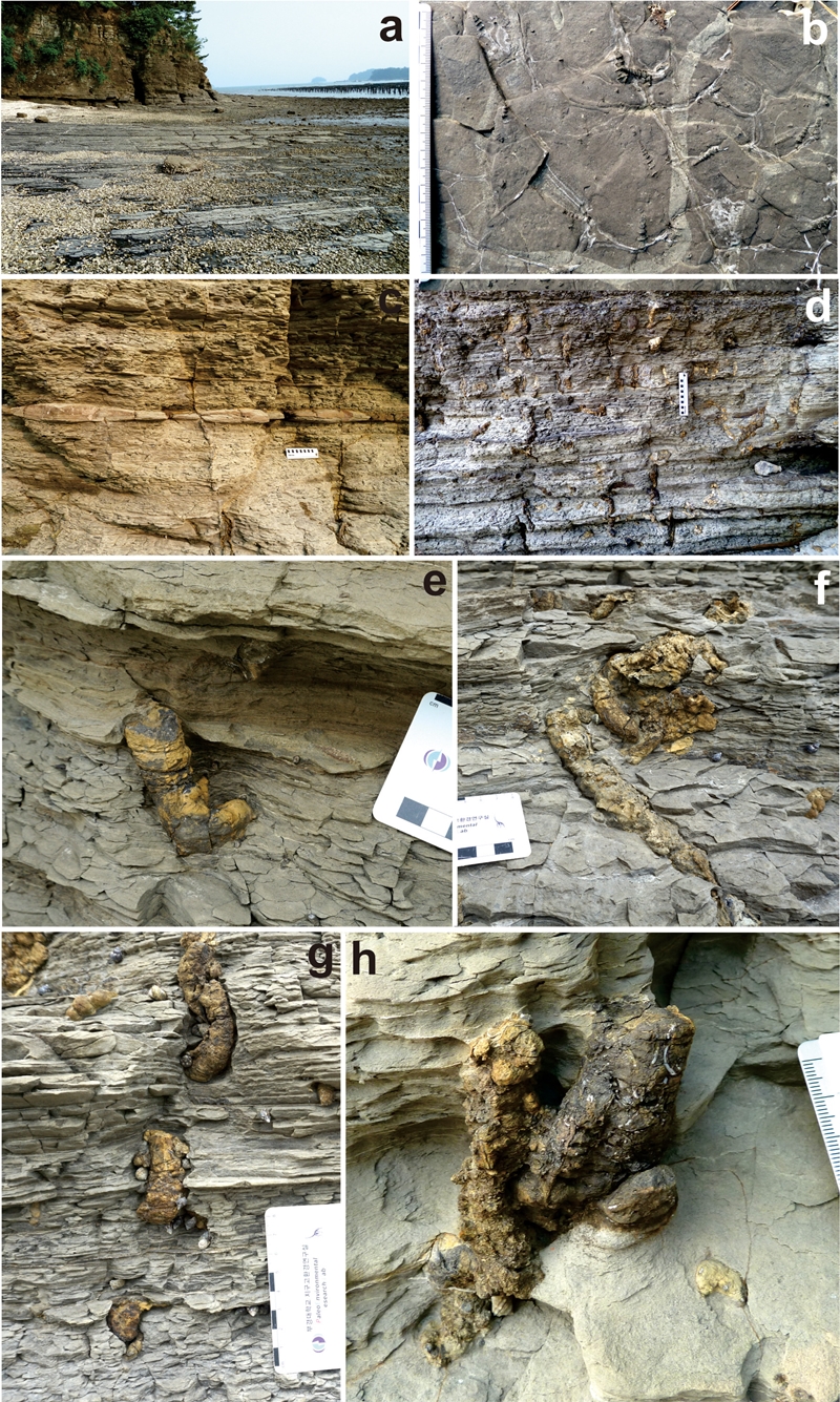 Fig. 3. Fig. 3.