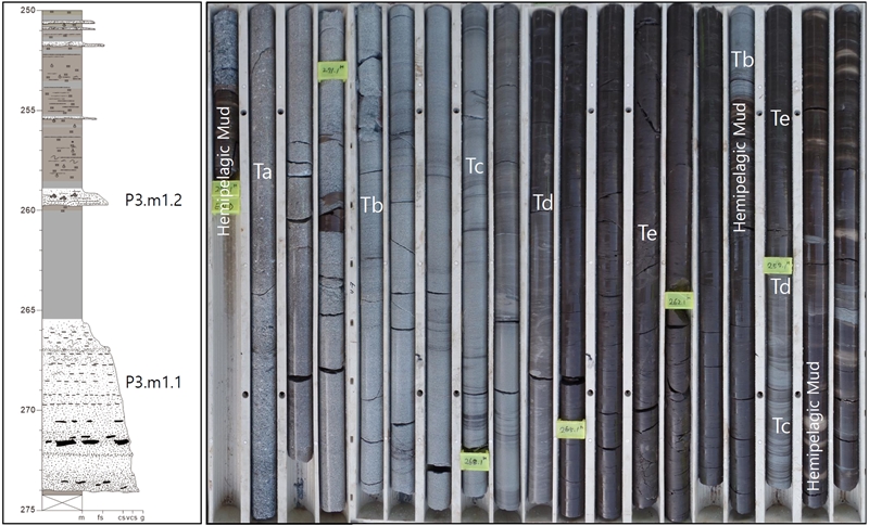 Fig. 10. Fig. 10.