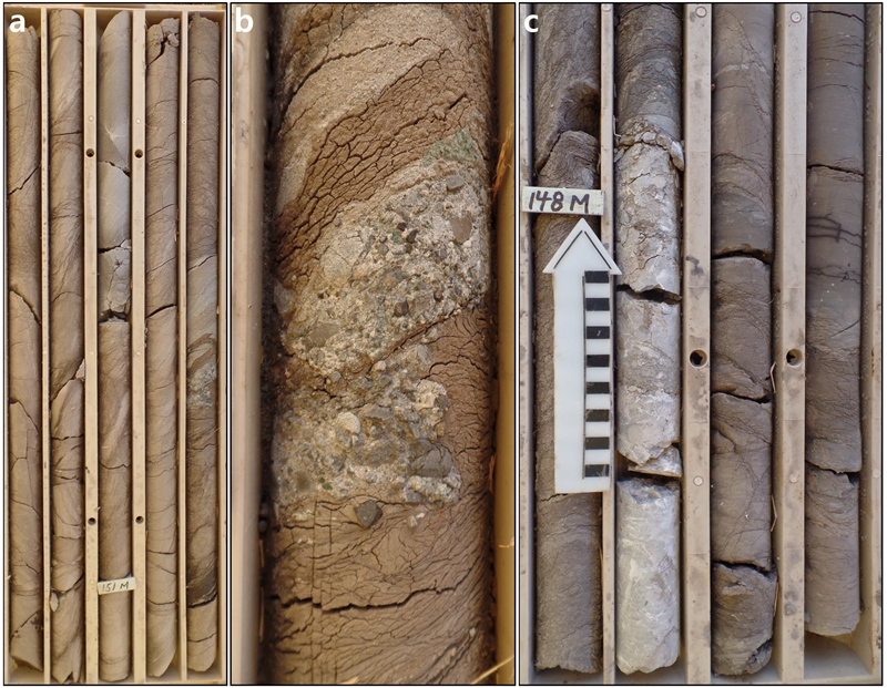 Fig. 16. Fig. 16.