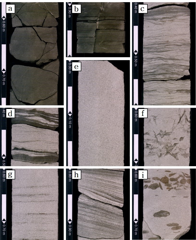Fig. 3. Fig. 3.