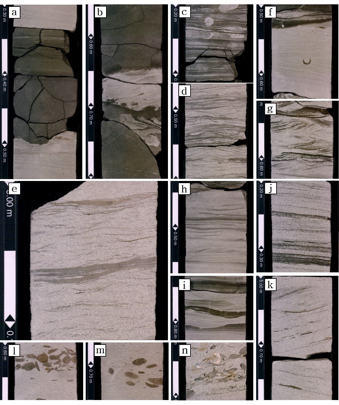 Fig. 4. Fig. 4.