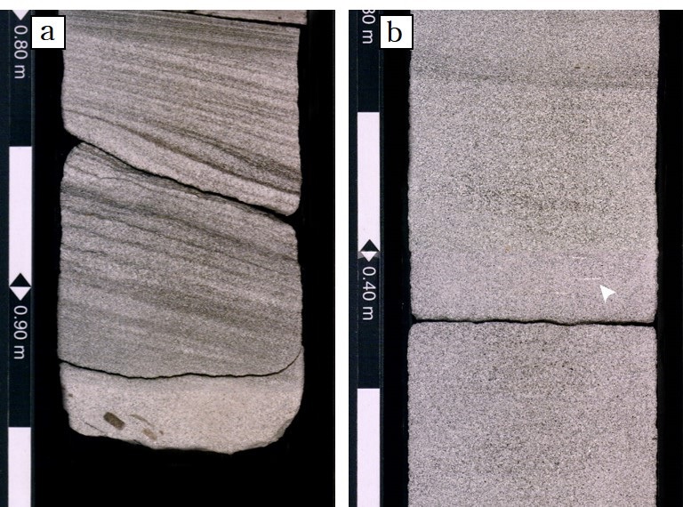 Fig. 5. Fig. 5.
