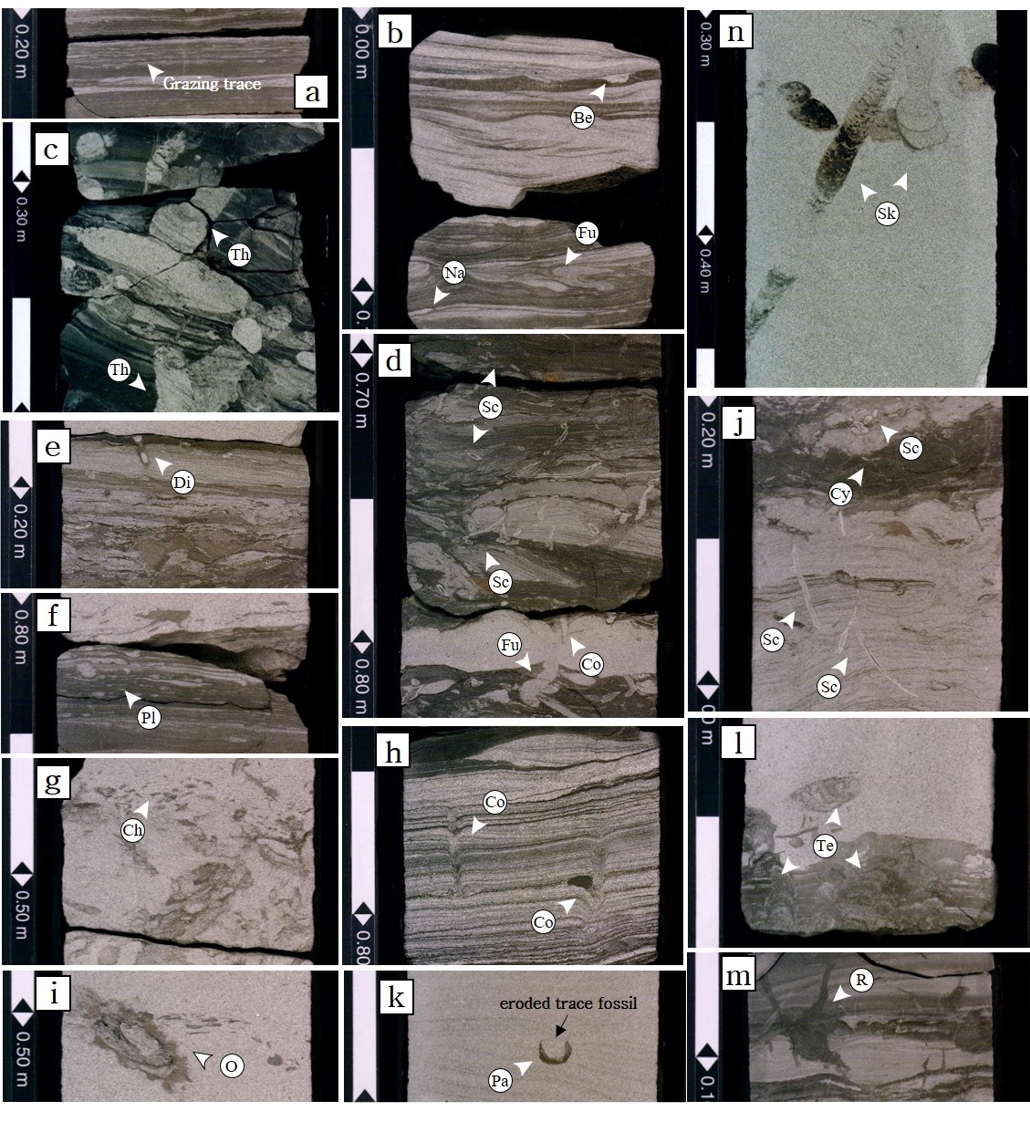 Fig. 6. Fig. 6.