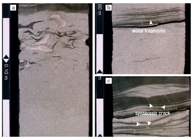 Fig. 22. Fig. 22.
