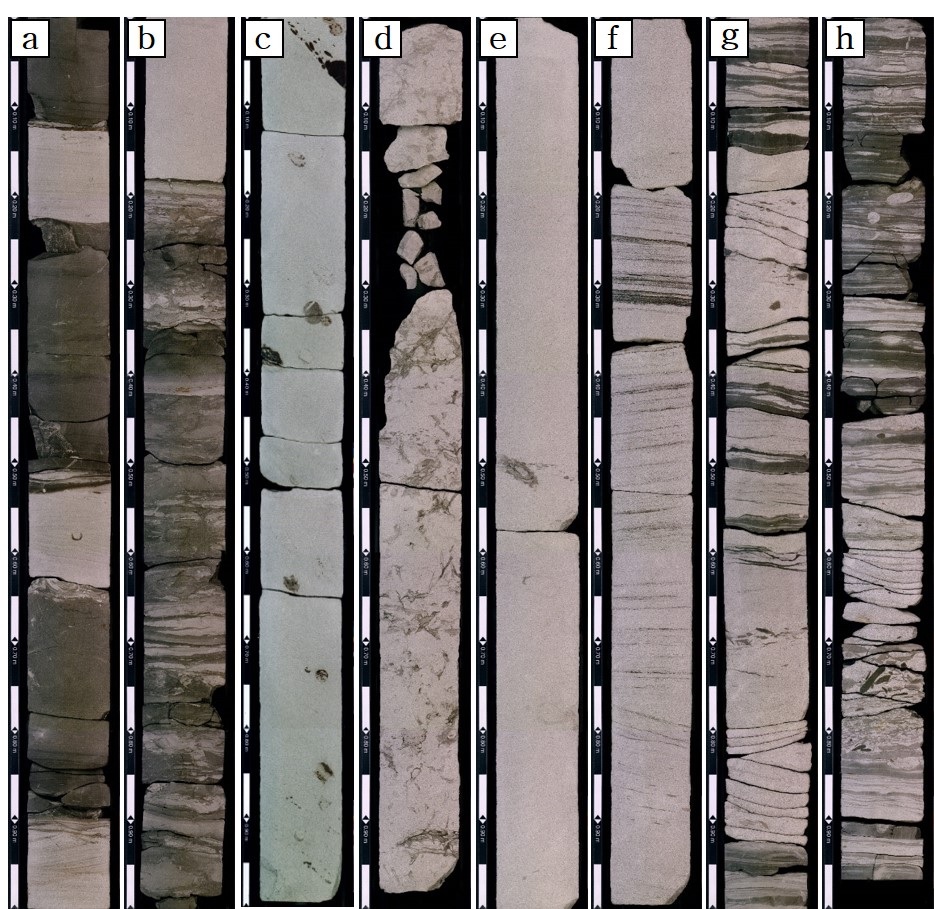 Fig. 24. Fig. 24.