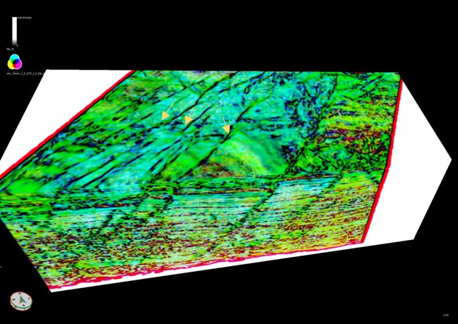 Fig. 8.
